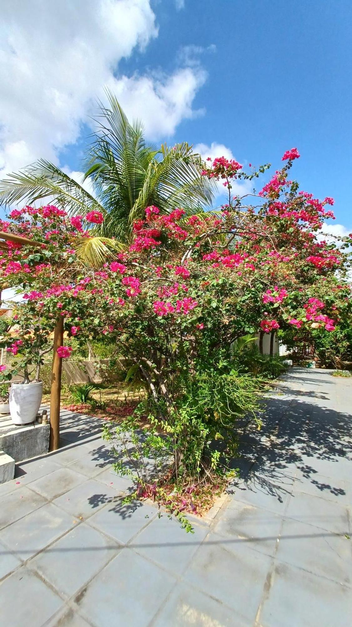 Anexo Da Casa De Campo - 2/4 Com Piscina 彼得罗利纳 外观 照片